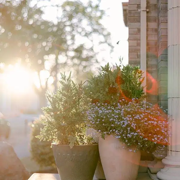 landscape-maintenance-46